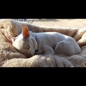 Meet your Posher, Leigh